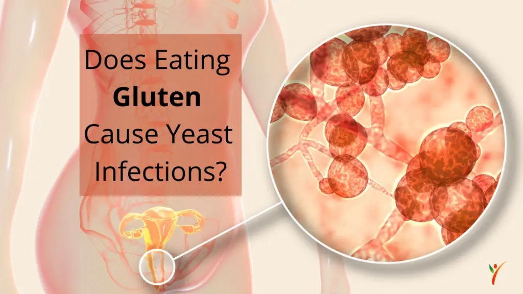 Does Eating Gluten Cause Yeast Infections? - Health Yeah Life